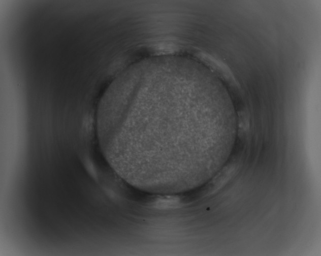 X0000100910369200807151144