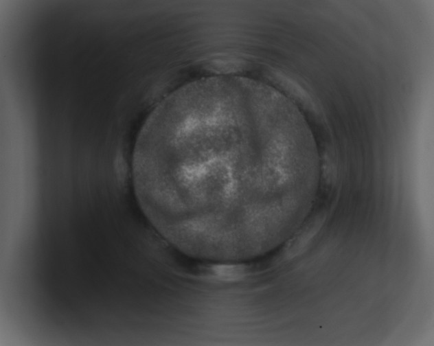 X0000100910371200807151144