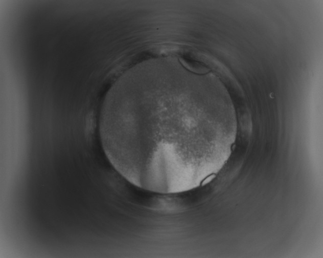 X0000100910372200807151144