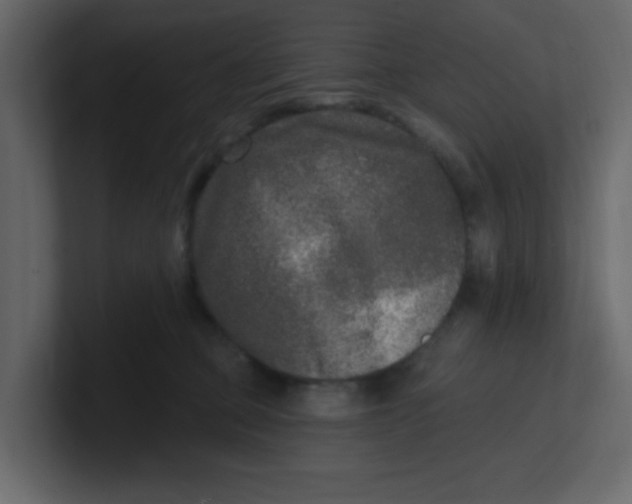 X0000100910373200807151144