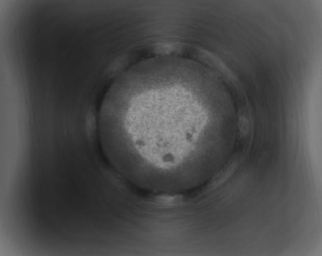 X0000100910375200807151144