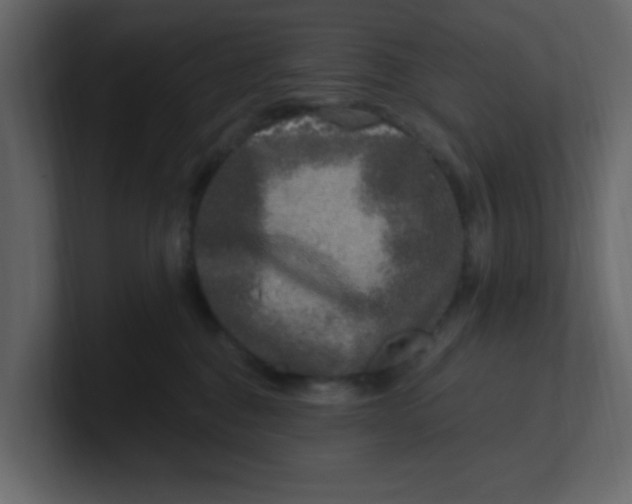 X0000100910376200807151144