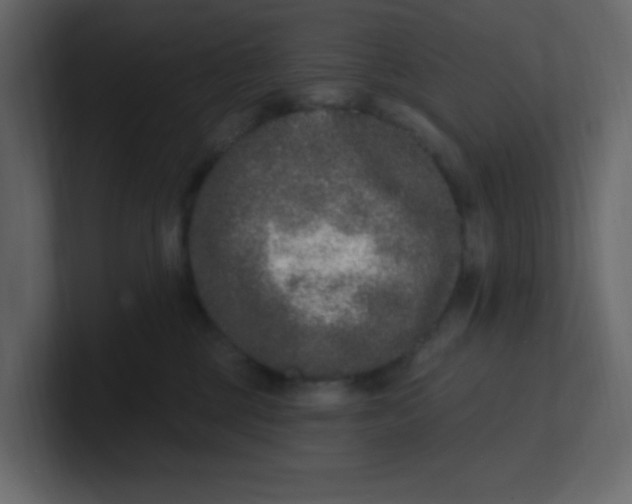 X0000100910377200807151144