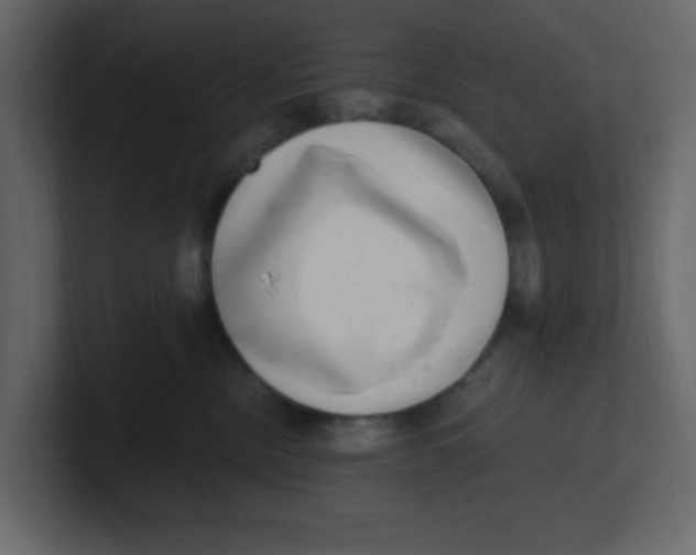 X0000100910378200807151144