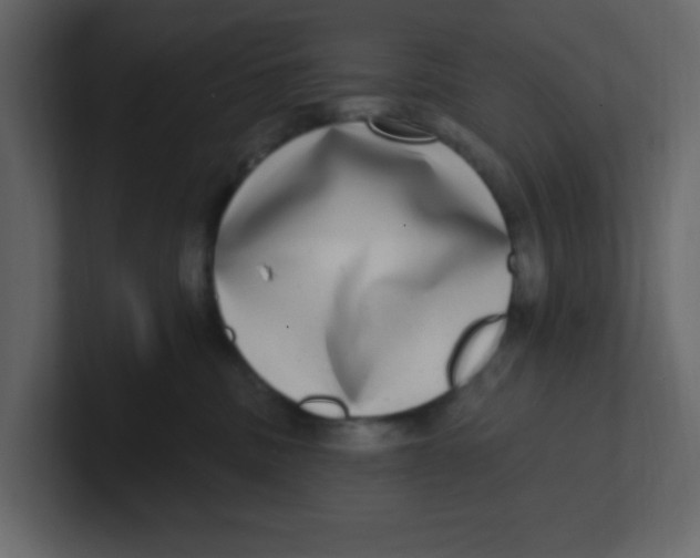 X0000100910379200807151144