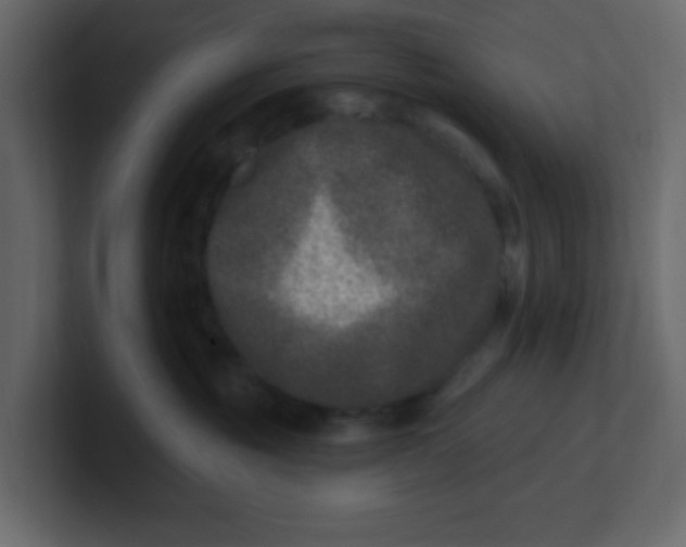 X0000100910381200807151144