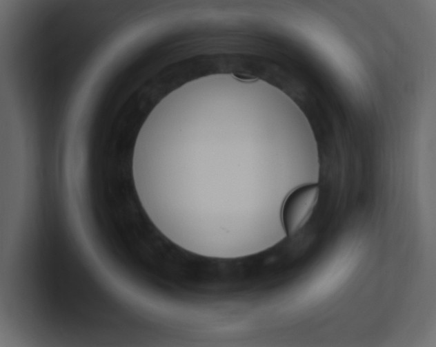 X0000100910383200807151144