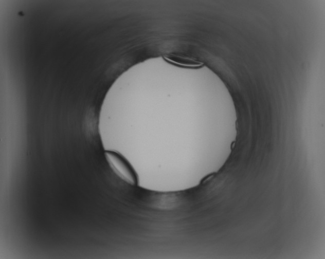 X0000100910384200807151144