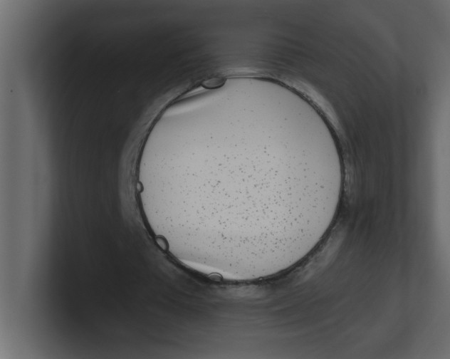 X0000100910385200807151143