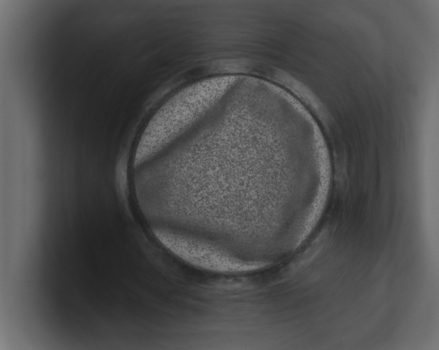 X0000100910386200807151143