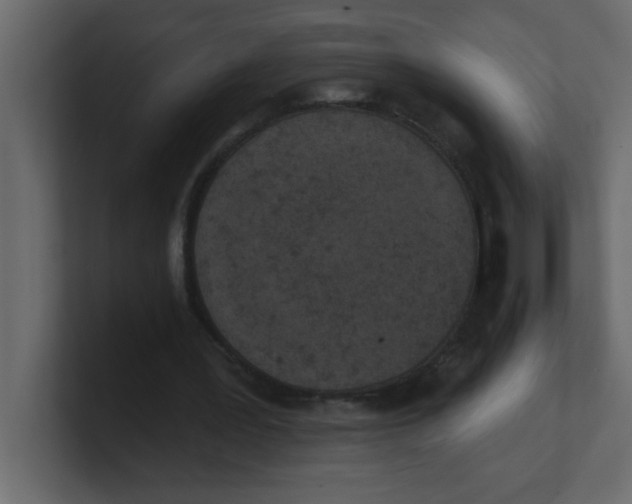 X0000100910387200807151143