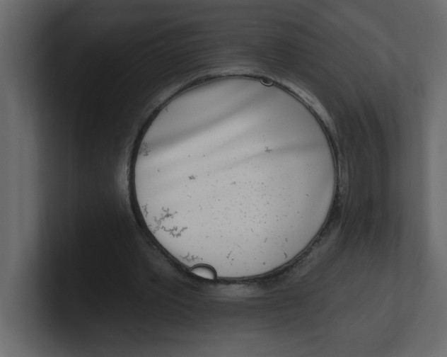 X0000100910389200807151143