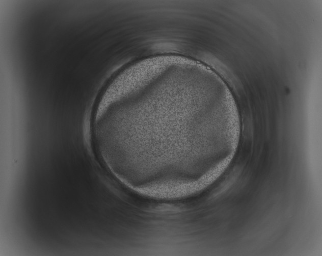 X0000100910390200807151143