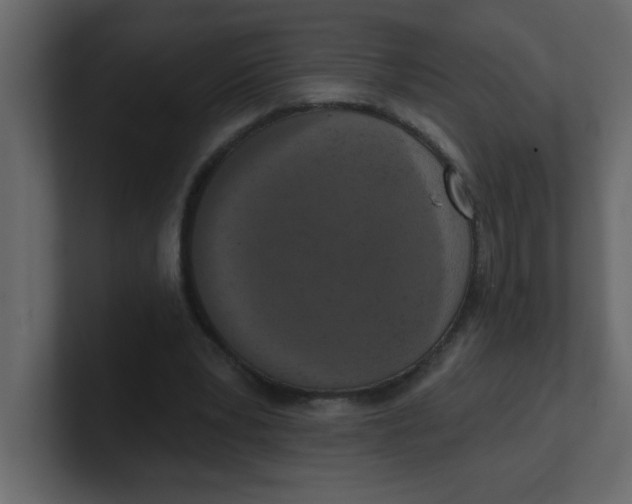 X0000100910391200807151143