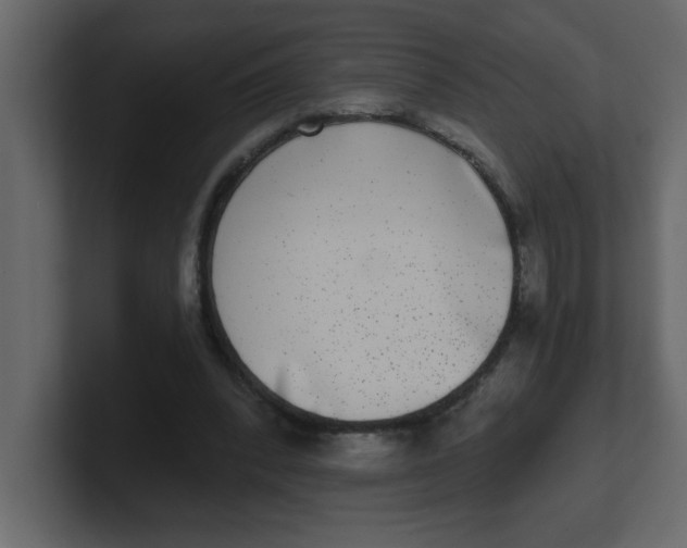 X0000100910392200807151143