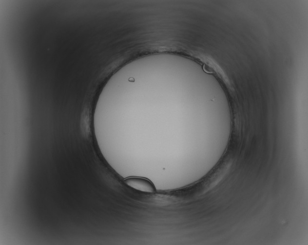 X0000100910393200807151143