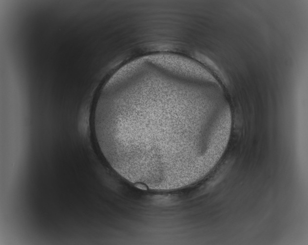 X0000100910394200807151143