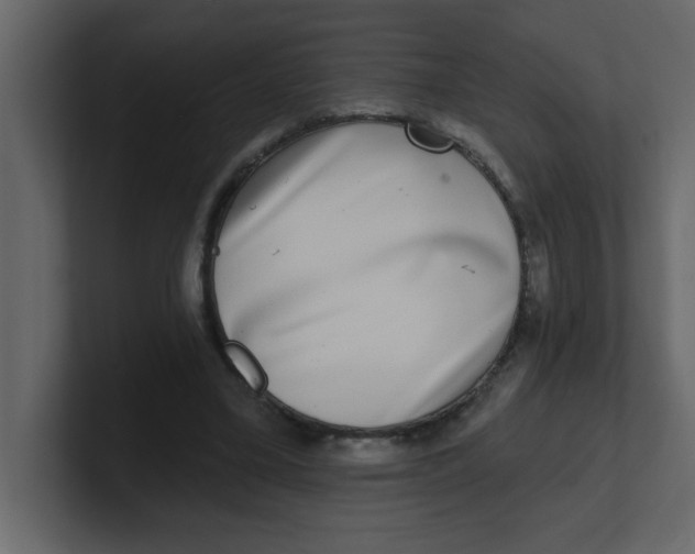 X0000100910395200807151143