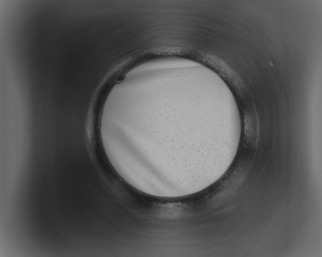 X0000100910396200807151143