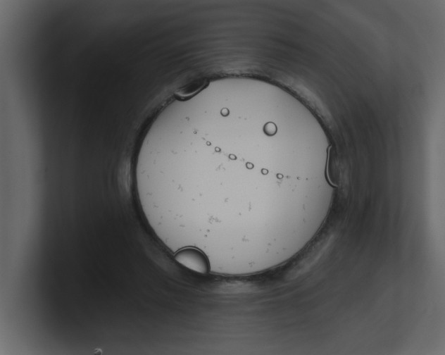 X0000100910397200807151143