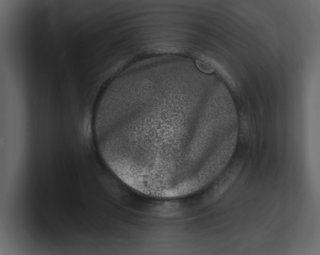 X0000100910398200807151143