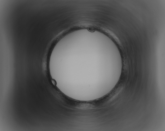 X0000100910399200807151143