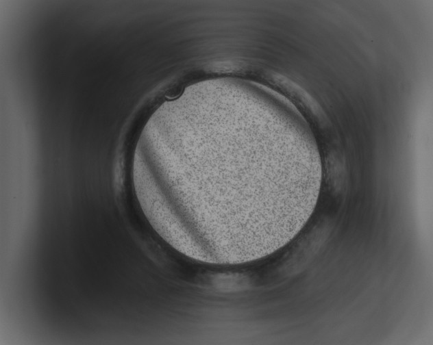 X0000100910400200807151143