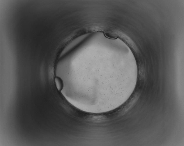 X0000100910401200807151143