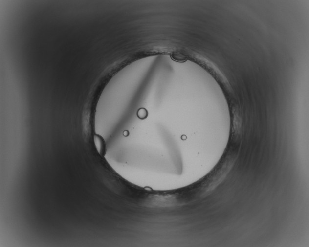 X0000100910403200807151143