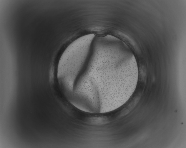 X0000100910404200807151143