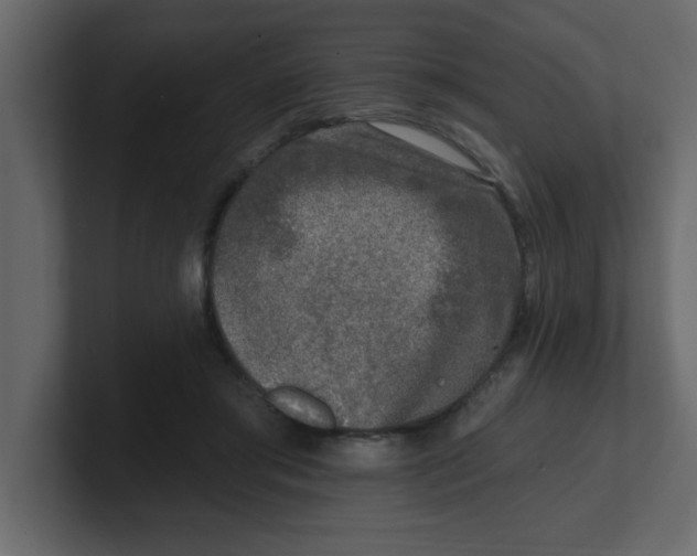 X0000100910405200807151143