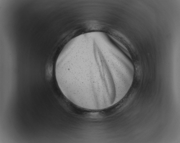 X0000100910406200807151143