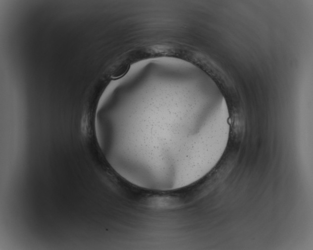 X0000100910408200807151143