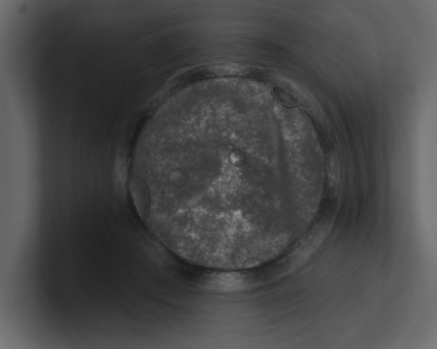 X0000100910409200807151143