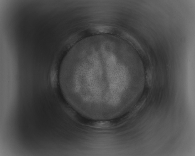 X0000100910410200807151143