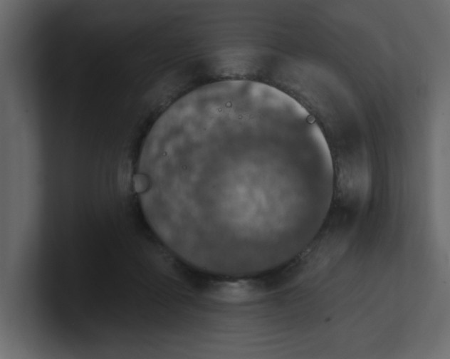 X0000100910411200807151143