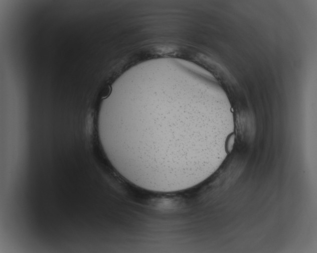 X0000100910412200807151143