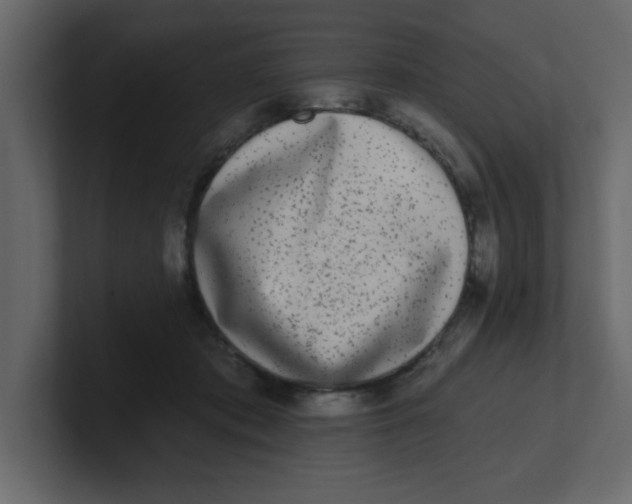 X0000100910413200807151143