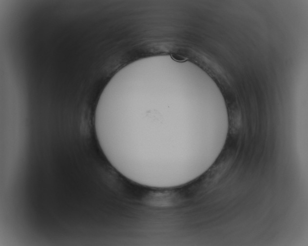 X0000100910414200807151143