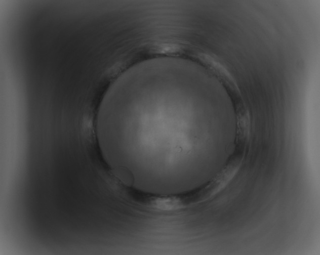 X0000100910415200807151143