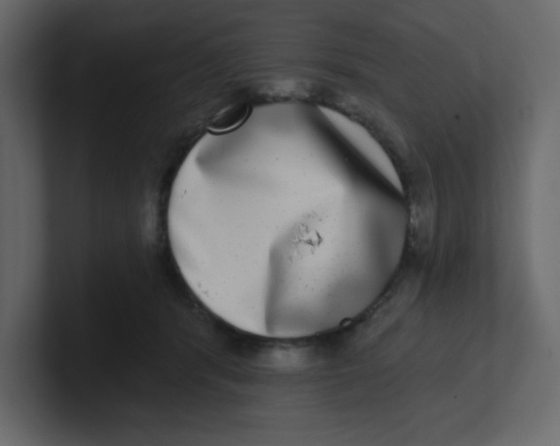 X0000100910416200807151143