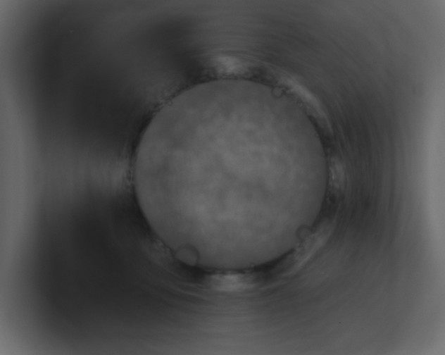 X0000100910419200807151143