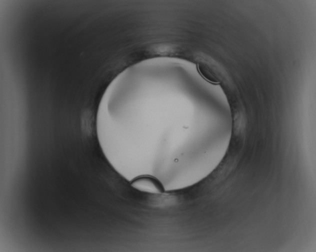 X0000100910421200807151143