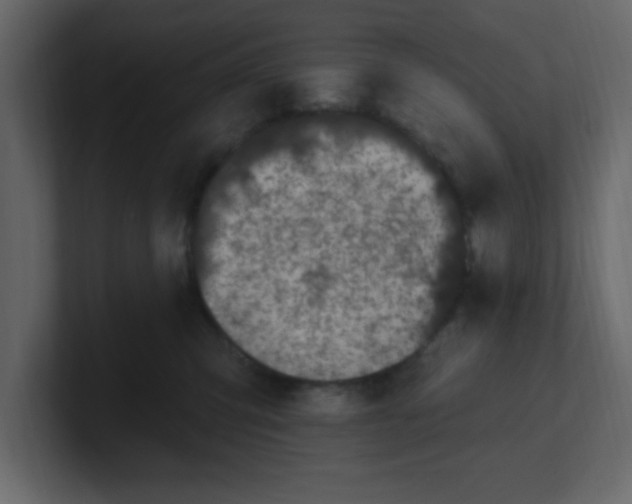 X0000100910423200807151143