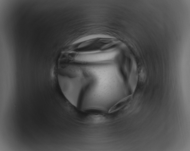 X0000100910424200807151143