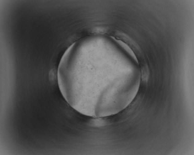 X0000100910425200807151143