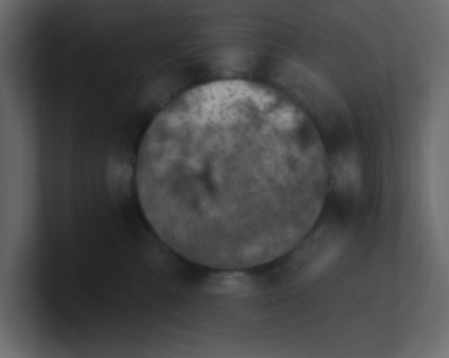 X0000100910427200807151142