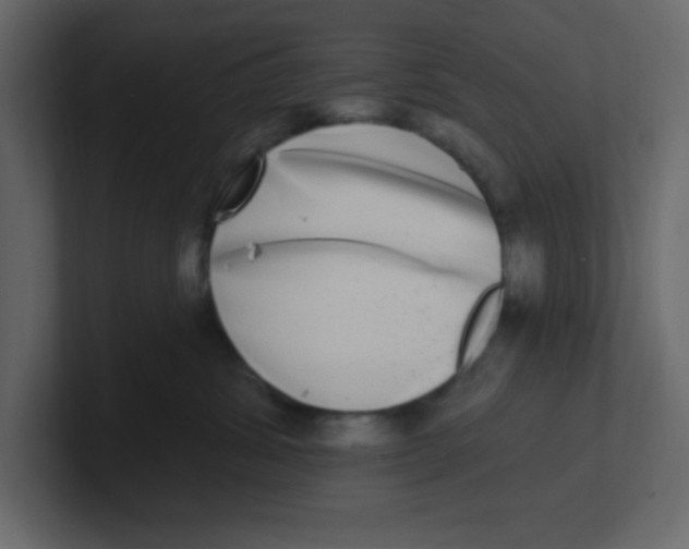 X0000100910428200807151142