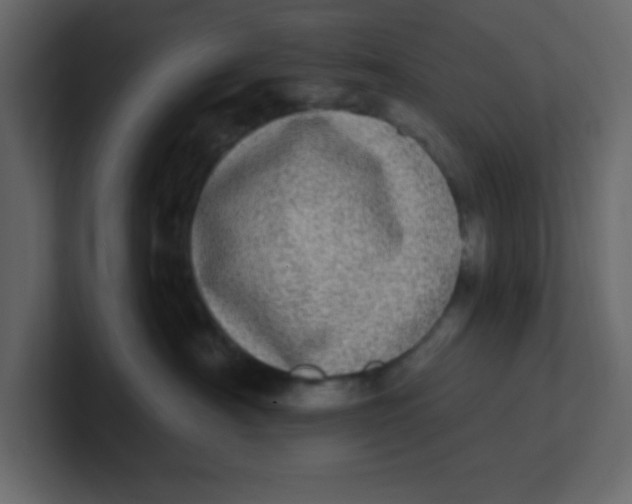 X0000100910430200807151142