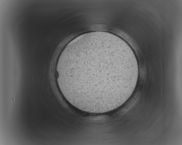 X0000100910433200807151142